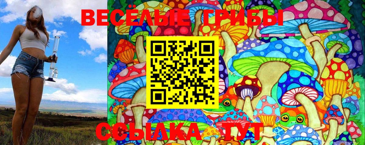 Галлюциногенные грибы Psilocybe Чистополь